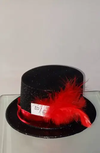 SOMBRERO DE PLUMAS